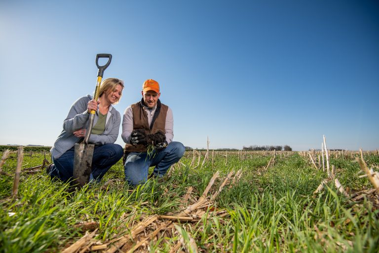 The crops we plant, but don’t harvest