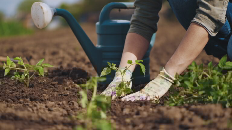 Spring Gardening Tips