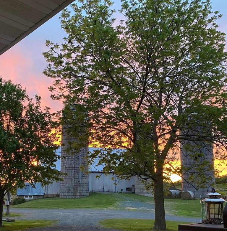 Attitude of Gratitude Reflecting on 2022