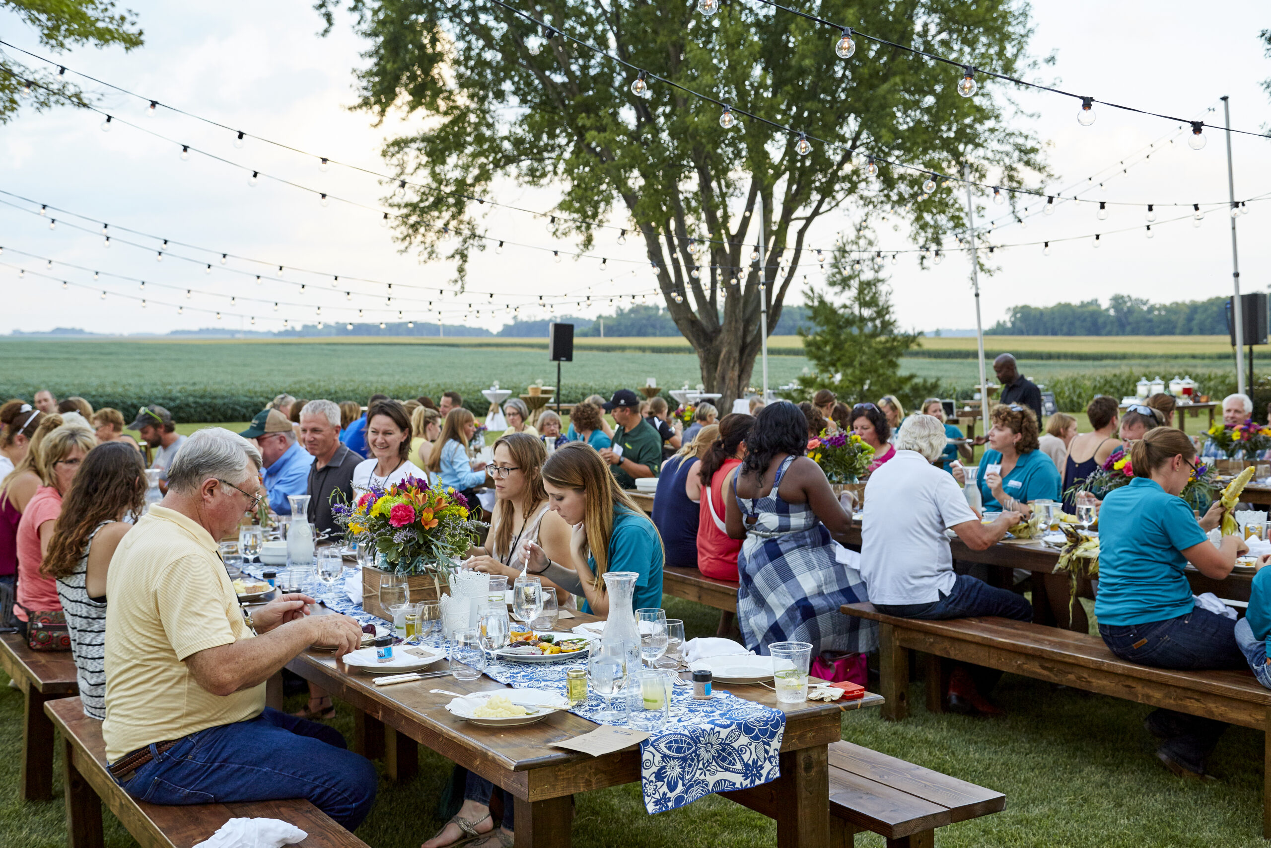 A group of people eat dinner at banquet tables on a farm.