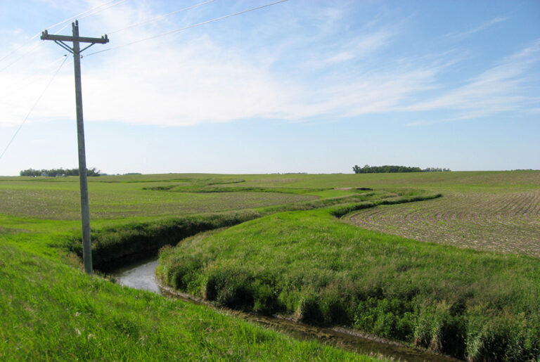 Environment Series: Earth Month