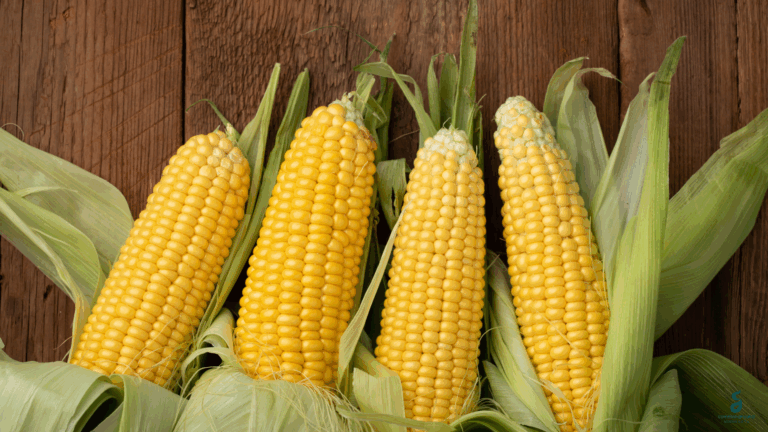 Becca’s Best Sweet Corn Advice