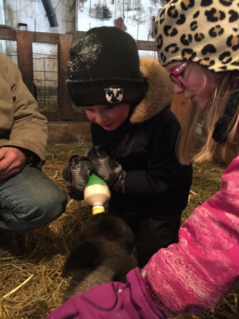 Two kids feed a bottle lamb