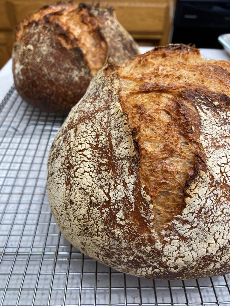 A dark brown artisan loaf of homemade bread.
